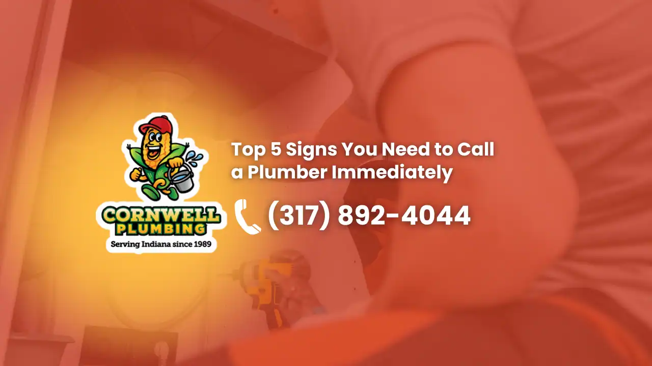 Top 5 Signs You Need a Plumber Immediately Top-5-Signs-You-Need-a-Plumber-Immediately